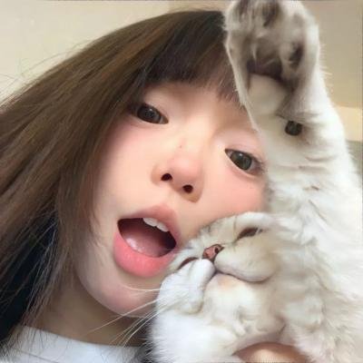 李佩西与五大王国的守护者